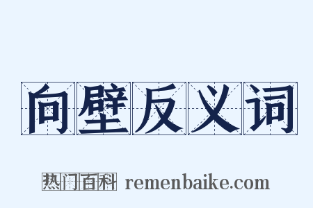 向壁反义词是什么意思的图片